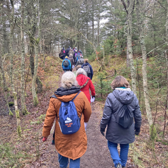 Billede af mennesker på gåtur i Tversted Klitplantage