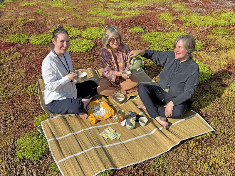 Maria Christine Vest Billingsøe, Charlotte Nielsen og Brit Gro-Nielsen