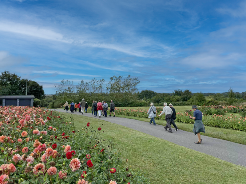 Gå i Vrå med blomster