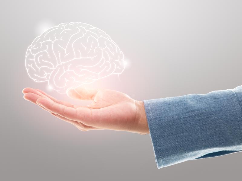 Billede fra Colourbox af hjerne