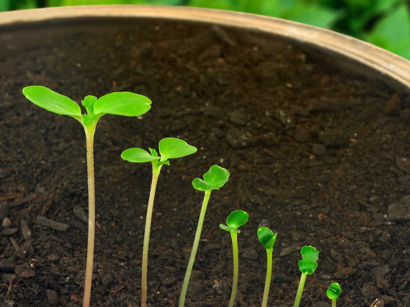 Billede fra Colourbox