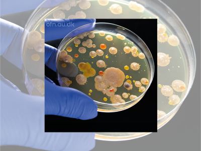 'Offentlige foredrag i Naturvidenskab' og 'Aarhus Universitet'