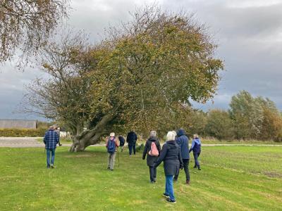 Billede fra Gå i Vrå