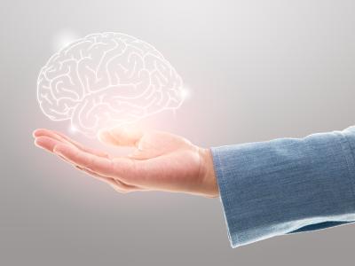 Billede fra Colourbox af hjerne