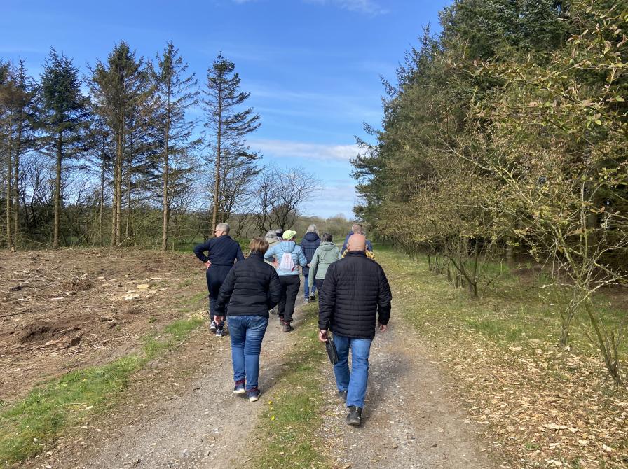 Billede fra Gå i Vrå