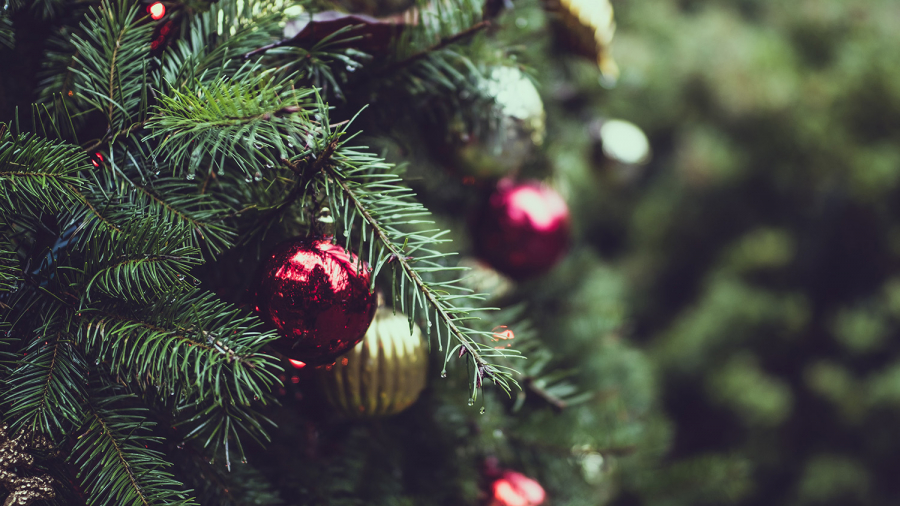 Grantræ med julekugler